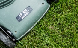 Why you should cut your grass before the frost